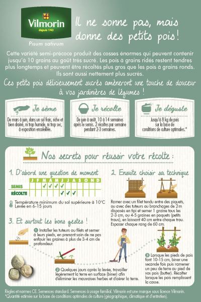 Légumes Secs - Pois Grimpant à Grain Ridé Téléphone à Rames - 20 m - MEDIA_PACKAGING_VERSO